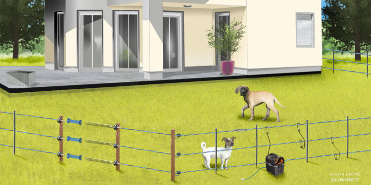 Quelle hauteur de clôture pour un chien ?