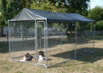 Quelle hauteur de clôture pour un chien ?