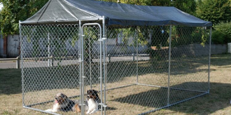 Quelle hauteur de clôture pour un chien ?