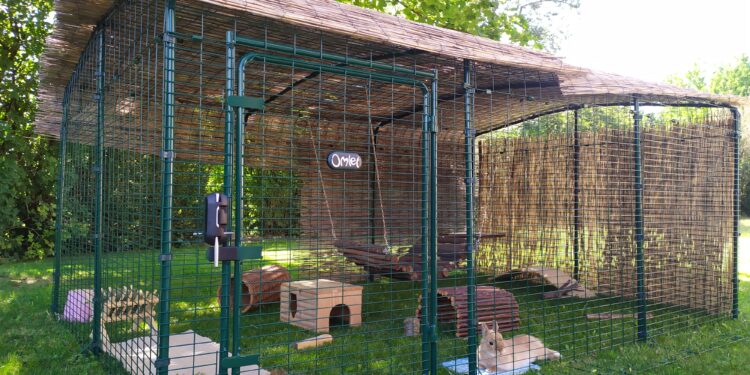 Quelle hauteur de grillage pour un lapin ?