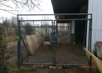 Quelle hauteur de grillage pour un poulailler ?