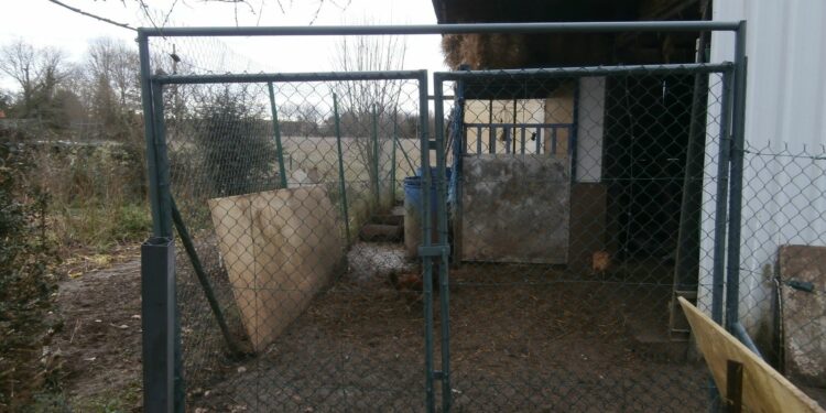 Quelle hauteur de grillage pour un poulailler ?