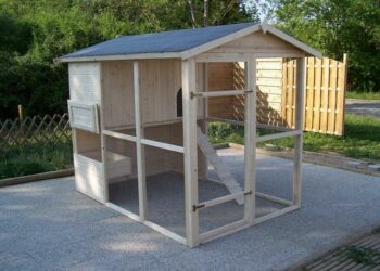 Quelle hauteur du sol pour un poulailler ?