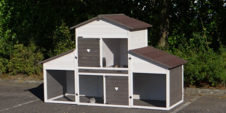 Quelle hauteur peut sauter un lapin ?