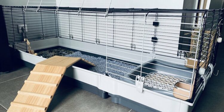 Quelle hauteur peut sauter un lapin ?