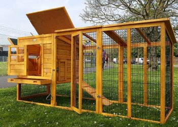 Quelle hauteur peut sauter un renard ?