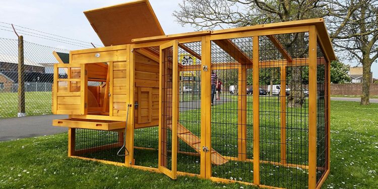 Quelle hauteur peut sauter un renard ?