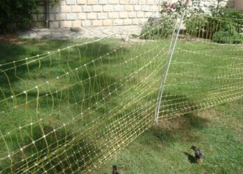 Quelle hauteur peut sauter un renard ?