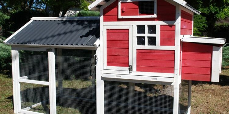 Quelle hauteur peut sauter une poule ?