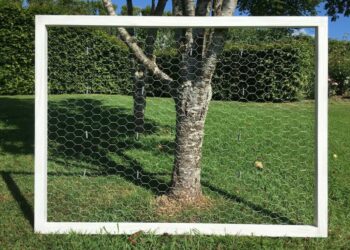 Quelle hauteur peut sauter une poule ?