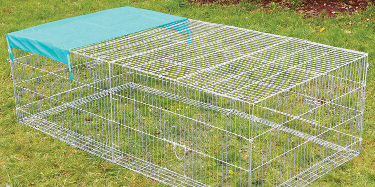 Quelle hauteur peut sauter une poule ?