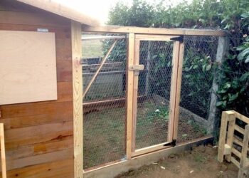 Quelle hauteur peut sauter une poule ?