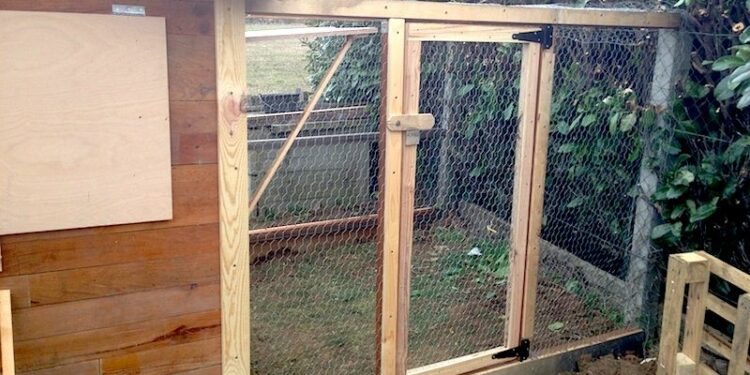 Quelle hauteur peut sauter une poule ?