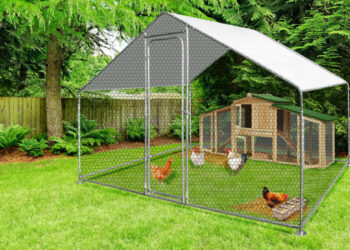 Quelle hauteur pour un enclos à poule ?