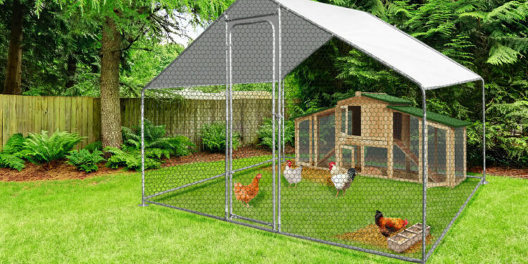 Quelle hauteur pour un enclos à poule ?