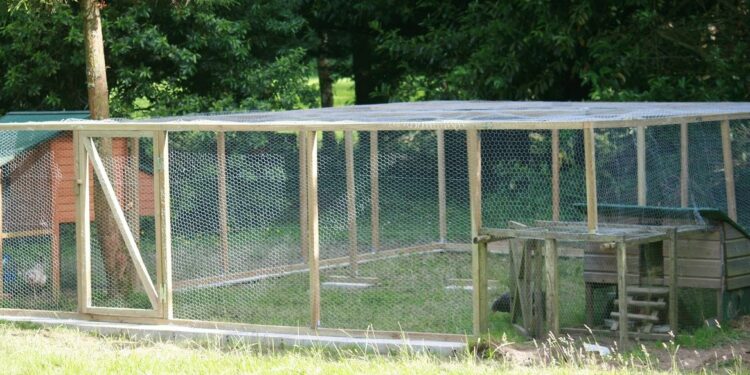 Quelle hauteur pour un grillage ?