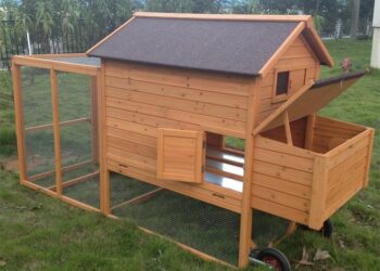 Quelle hauteur pour un grillage à poule ?