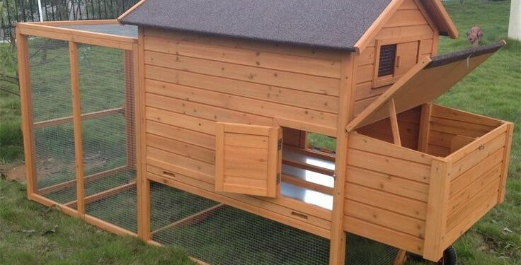 Quelle hauteur pour un grillage à poule ?