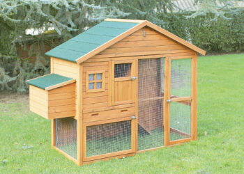 Quelle hauteur pour un grillage à poule ?