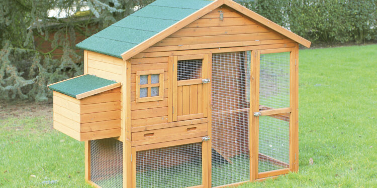 Quelle hauteur pour un grillage à poule ?