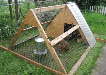 Quelle hauteur pour un grillage à poule ?