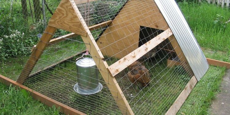 Quelle hauteur pour un grillage à poule ?