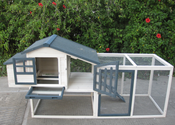 Quelle hauteur pour un grillage à poule ?