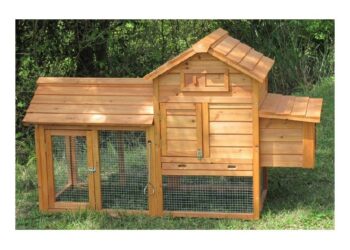 Quelle hauteur pour un grillage à poule ?