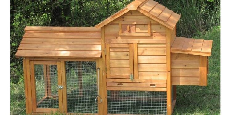 Quelle hauteur pour un grillage à poule ?