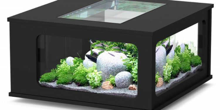 Quelle hauteur pour un meuble d'aquarium ?