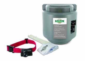 Quelle hauteur un chien peut sauter ?