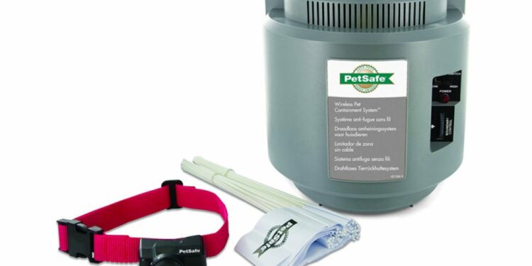 Quelle hauteur un chien peut sauter ?