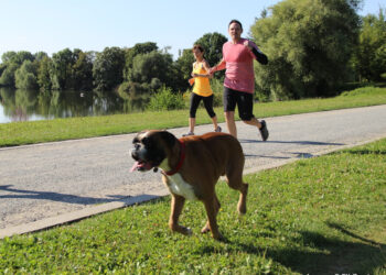 Quelle heure dernier pipi chien ?