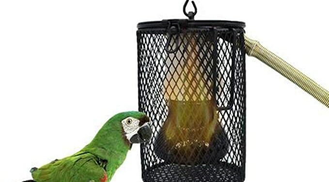 Quelle lampe chauffante ?