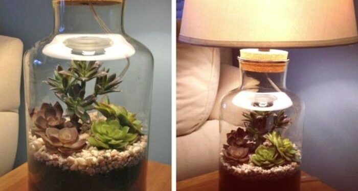 Quelle lampe chauffante ?