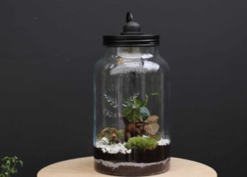 Quelle lampe horticole choisir ?