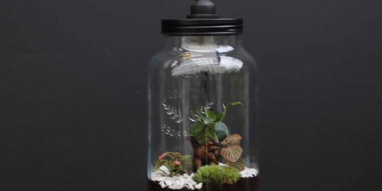 Quelle lampe horticole choisir ?