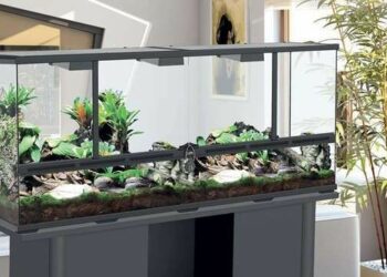 Quelle lampe horticole choisir ?