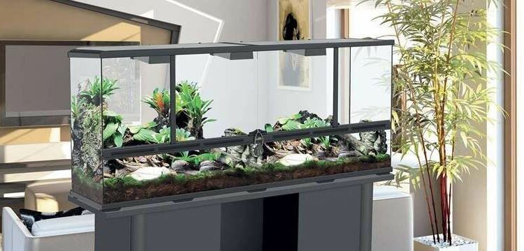 Quelle lampe horticole choisir ?