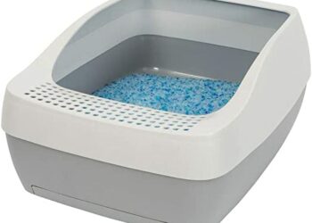 Quelle litière pour éviter les odeurs ?