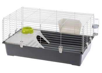 Quelle litière pour les lapins ?