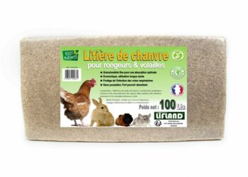 Quelle litière pour les rats ?