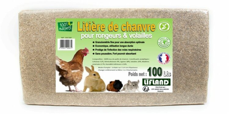 Quelle litière pour les rats ?