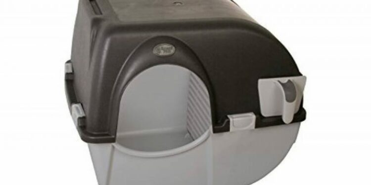 Quelle litière pour moins d'odeur ?