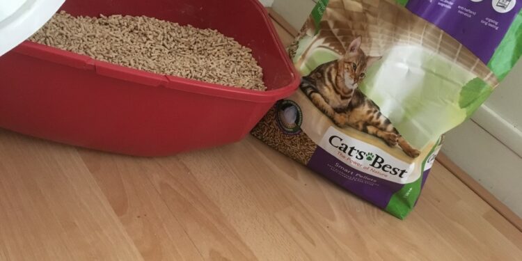 Quelle litière préfèrent les chats ?