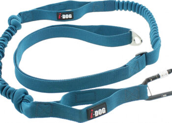 Quelle longueur de laisse pour canicross ?