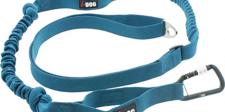 Quelle longueur de laisse pour canicross ?