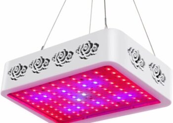 Quelle lumière LED pour les plantes ?