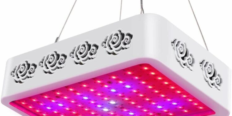 Quelle lumière LED pour les plantes ?