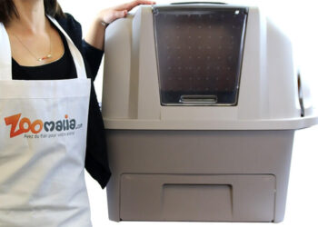 Quelle maison de toilette pour Maine Coon ?